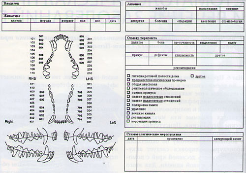 Рис. 10. Стоматологическая карта пациента