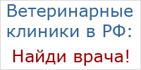 Ветеринарные клиники России: адреса, телефоны, отзывы посетителей